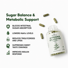 Gurmar Sugar Balance — Gymnema Sylvestre 400mg